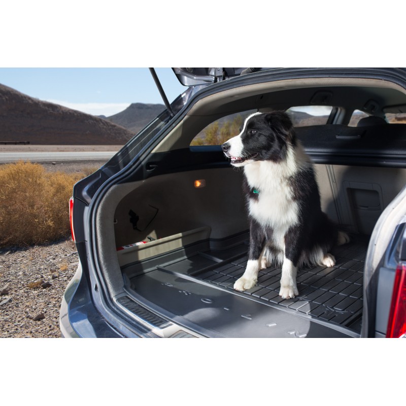 Hyundai i10 hotsell dog guard