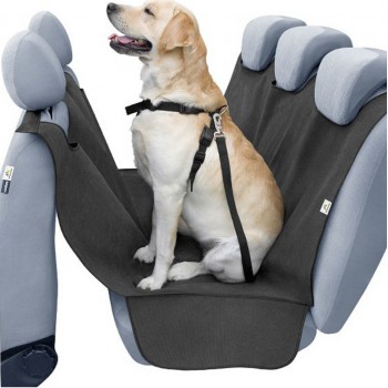 Protector seat to dog full