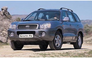 Emmer stam Hyundai Santa Fe (2000 - 2006)