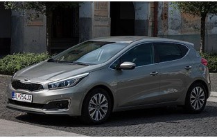 Tapijt stam Kia Ceed (2015-2018)