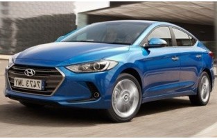 Tapijt stam Hyundai Elantra 6 (2016-2019)