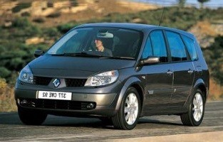 Emmer stam Renault Grand Scenic (2003-2009)