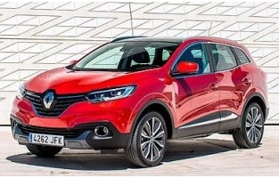 Emmer stam Renault Kadjar