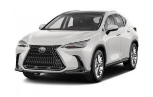 Lexus NX (2022 - ) economical car mats