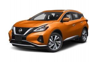 Emmer stam Nissan Murano